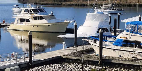 Wellness on the Water at The George: Yogalates Reservation