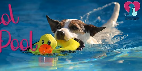 Drool in the Pool