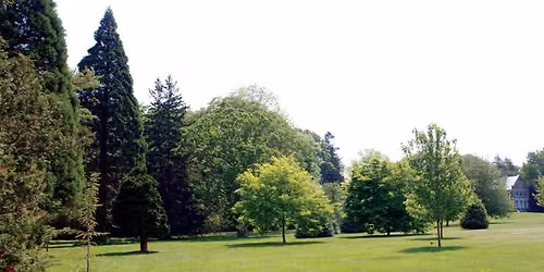 Champion Tree Walk