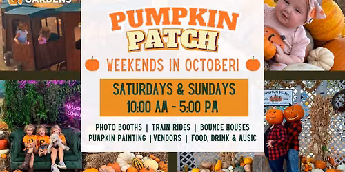 Pumpkin Patch at Community Gardens