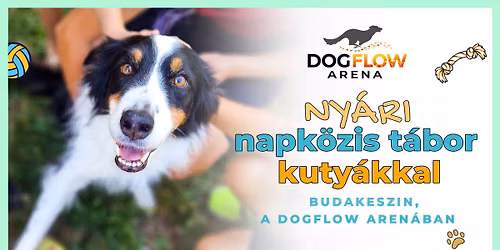 Kuty\u00e1s napk\u00f6zis t\u00e1bor - Budakeszin, a DogFlow Arena-ban