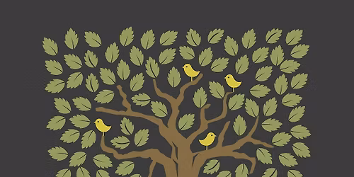 Neighborhood Tree Walk around Courthouse