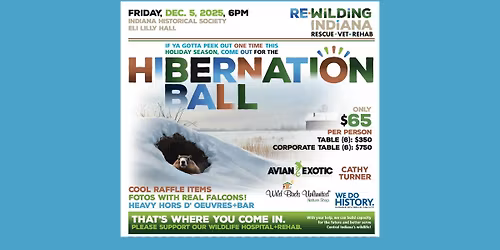 Hibernation Ball