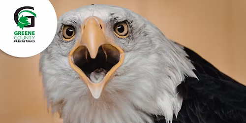 America 250 Eagle Adventure (6-12 year olds)