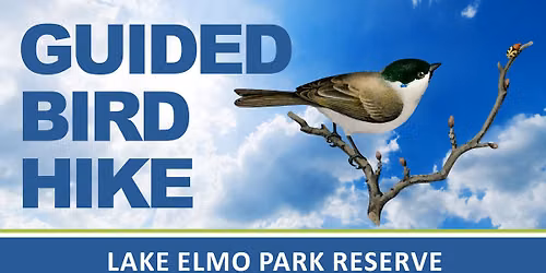 Bird Hike at Lake Elmo Park Reserve