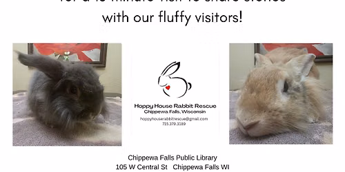 Reading with Rabbits