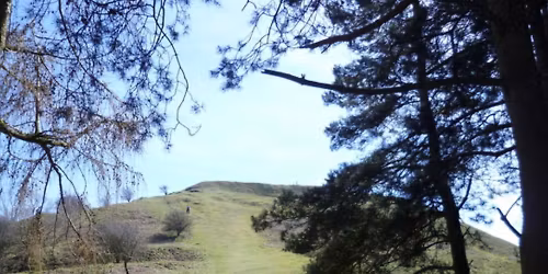 Pontesbury Hills Explorer - Free Group Hike