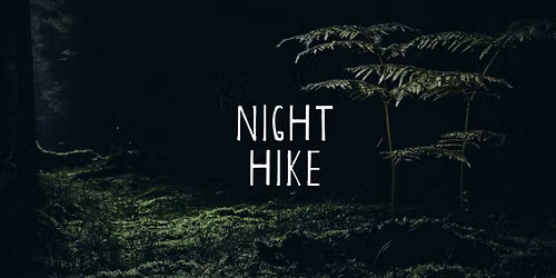 Night Hike