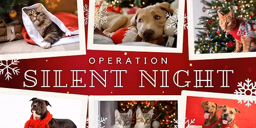 Operation Silent Night