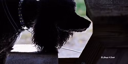 Combination Interior, buried, and container run through.