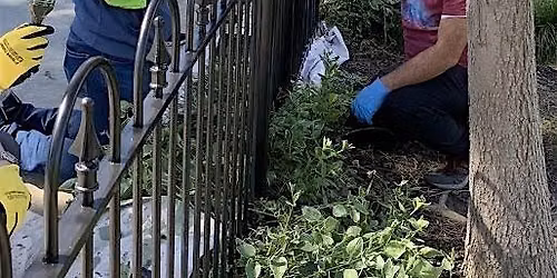 Community Volunteer Event at Townsend Park