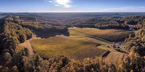 Dynamis Estate Wine Dinner