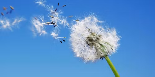 \u041e\u0431\u0443\u0447\u0435\u043d\u0438\u0435 \u043f\u043e EMDR