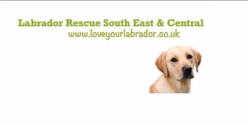 LRSE&C 30th Anniversary Dogs Party