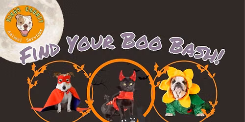 Find Your Boo Bash Adoption Event!