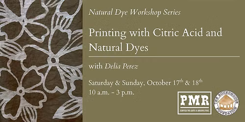 Natural Dye Workshop Series: Printing with Citric Acid & Natural Dyes