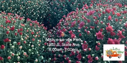 Fall Mum Fundraiser
