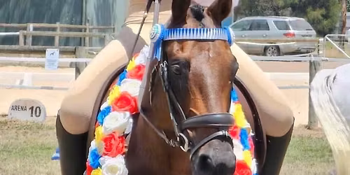 CMPC Encouragement Show