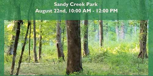 Forest Bathing Experience