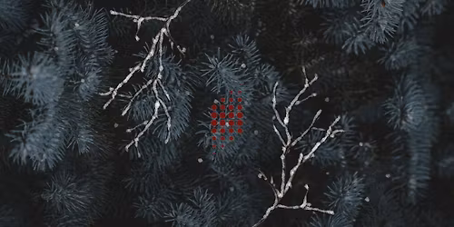 Rosa Mystica - Kammerkoret NOVA