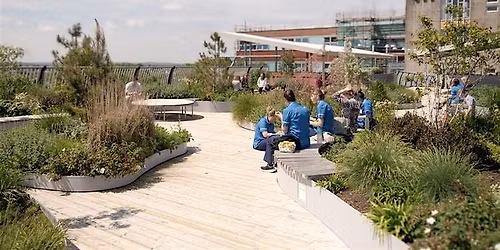 Tour of Princess Anne Roof Garden