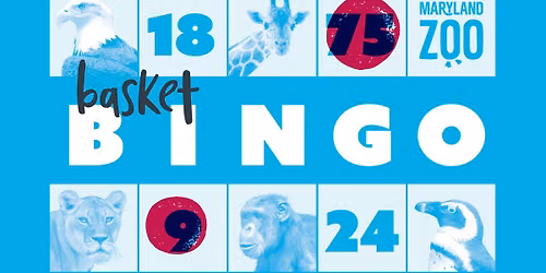 Summer Basket Bingo