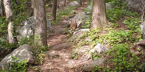 Story Walk Trail Opening