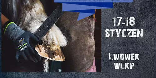 Warsztaty werkowania u Kosakowskich