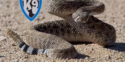 Rattlesnake Avoidance Training - June 19, 2026 in Prescott Valley.