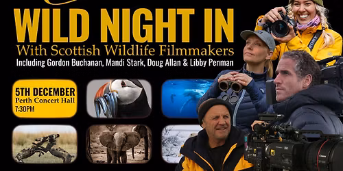 A Wild Night In: With Scottish Wildlife Filmmakers