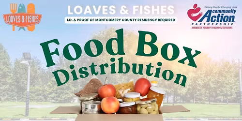 Food Box Distribution \ud83e\udd6b \ud83d\udce6
