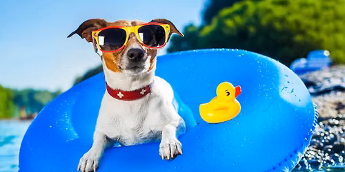 The Dog Days of Summer Event (FREE)