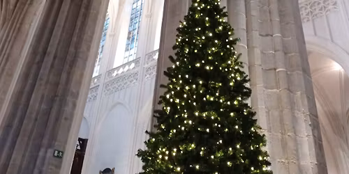 \ud83c\udf84 Kerstbenefietconcert