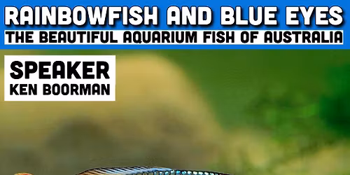FMAS July Meeting: Rainbowfish