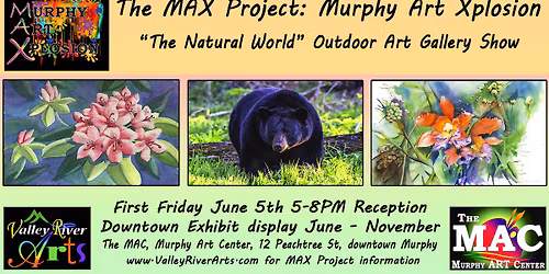MAX Project "The Natural World"