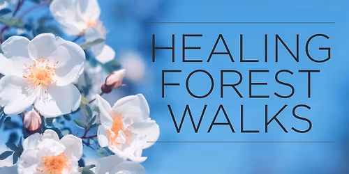 Healing Forest Walks - Nay Aug Park Trail