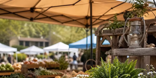 \ud83c\udf3f\u2728 COME SEE US AT MAE\u2019S FARMERS MARKET! \u2728\ud83c\udf3f