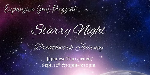 Starry Night in the Japanese Tea Garden