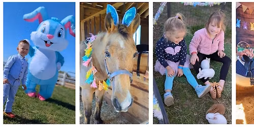 Sassy Stables Easter Egg Hunt!