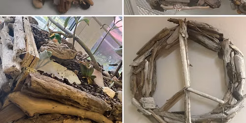 Driftwood Crafternoon! 