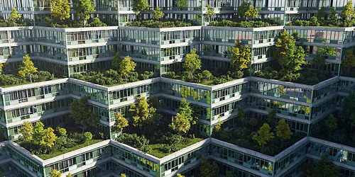 Compliance to Competitive Edge - Carbon, Net Zero & The Law