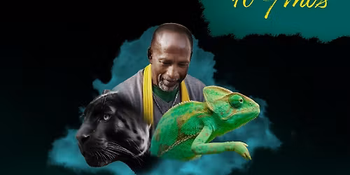 Viv\u00eancia com Mestre Pantera: 10 Anos - V Batizado e Troca de Cord\u00e9is Capoeira ACDP Australia