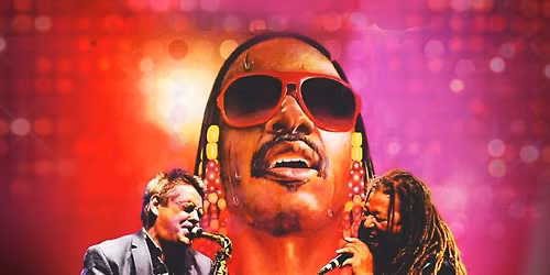 The Wonder of Stevie