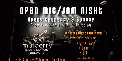 The Performance Jam: Open Mic & Musician Showcase at Mulberry