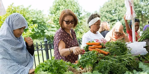 Bronx Borough Hall Greenmarket
