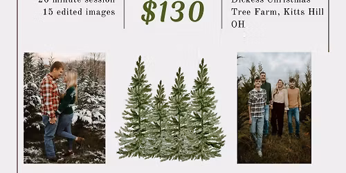 Christmas Tree Farm Minis