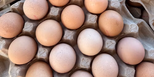 Morisset Shop & Feast Markets 3rd Oct 2026