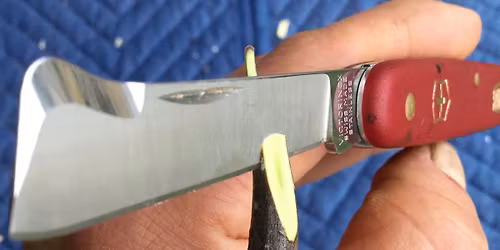 Fruit Tree Grafting: Lecture, Demo and Tour