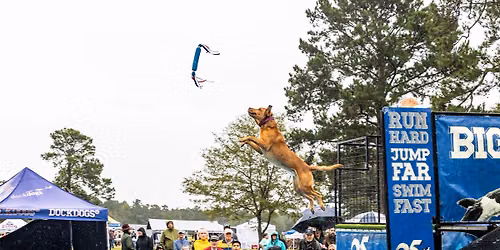 DockDogs\u00ae at the Camden Horse & Hound Expo | Wild Card!
