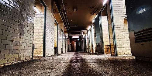 Wo Ist Zuhause Mama\/\/Monochrome Lights&Whiskey Kong